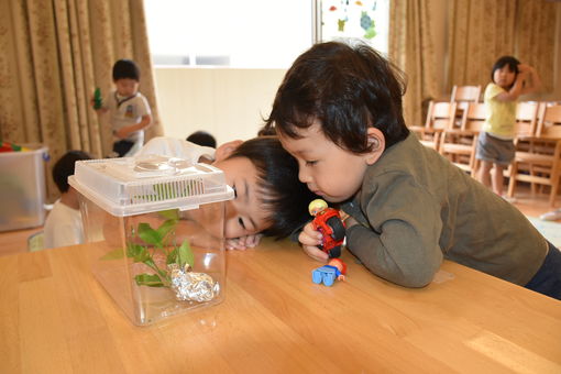 浮間さくら草保育園(東京都北区)