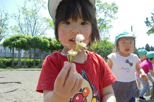 すみれ保育園(千葉県佐倉市)