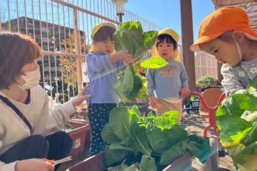 墨田区水神保育園(東京都墨田区)