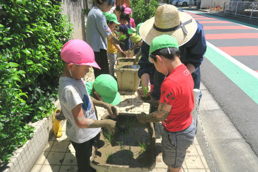 さくらしんまち保育園(東京都世田谷区)