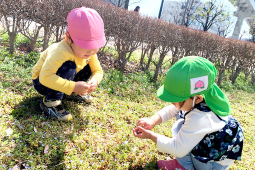 愛光みどり保育園(東京都立川市)