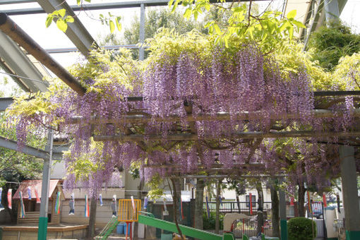 ふじの実保育園(東京都武蔵野市)