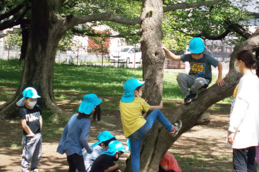 子どもの森あさかわ保育園(東京都日野市)