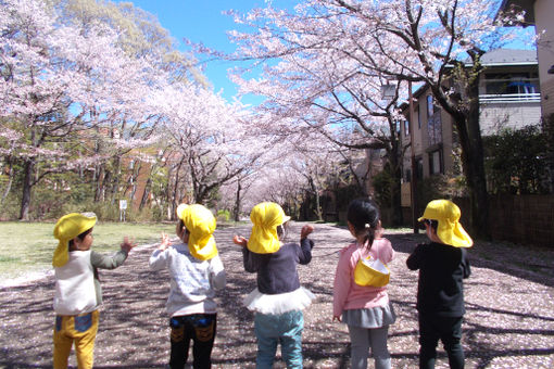 プチもり保育園(東京都町田市)