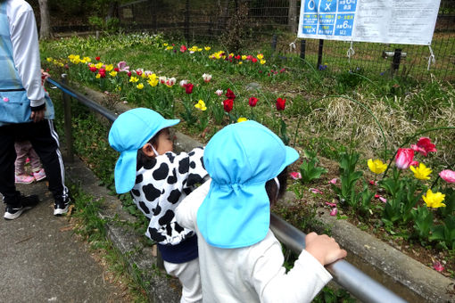 プチもり保育園(東京都町田市)