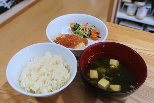 ポッポのもり保育園(東京都国分寺市)