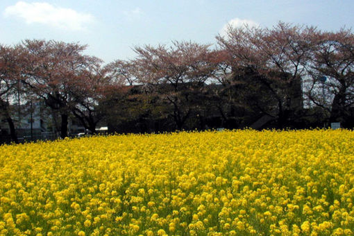 田無保育園(東京都西東京市)