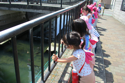 昴保育園(神奈川県横浜市保土ケ谷区)