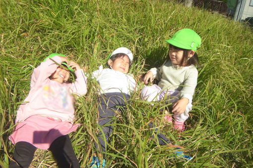 緑園なえば保育園(神奈川県横浜市泉区)