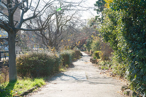 すみれ保育園(神奈川県川崎市中原区)