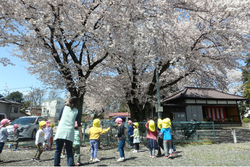 ナーサリースクールT&Yこもれびの森(神奈川県相模原市南区)