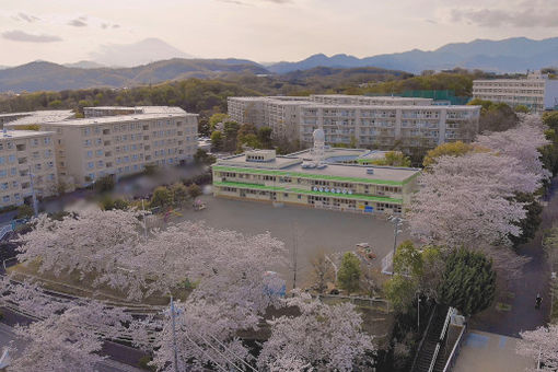 サンキッズ南が丘こどもえん(神奈川県秦野市)