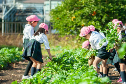 青木幼稚園(神奈川県藤沢市)