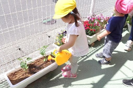 そよかぜ保育園(神奈川県厚木市)