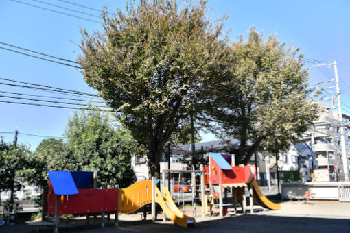 座間子どもの家保育園(神奈川県座間市)