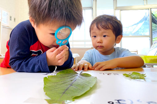 千年たちばな保育園(神奈川県川崎市高津区)