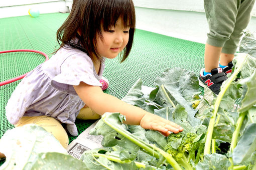 千年たちばな保育園(神奈川県川崎市高津区)