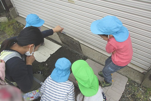 和同保育園(新潟県上越市)