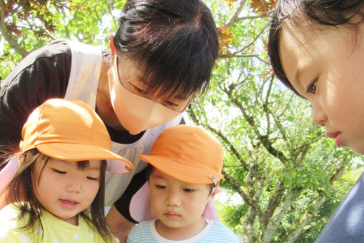 杉の子保育園(富山県射水市)