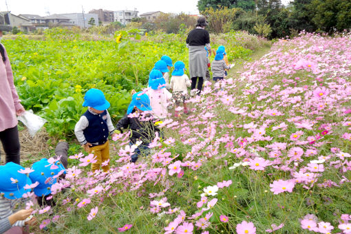 しらほ原保育園(愛知県名古屋市天白区)