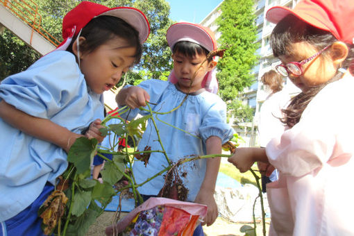 幼保連携認定こども園 鈴ノ宮保育園(大阪府堺市西区)