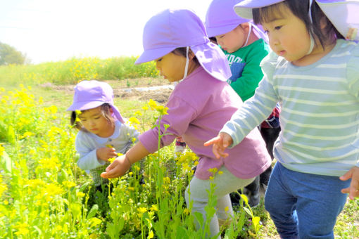 しらほ原保育園(愛知県名古屋市天白区)