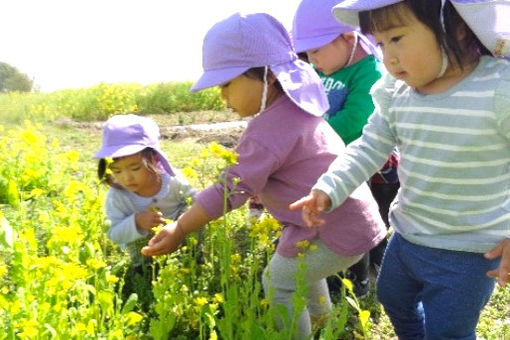 しらほ東部保育園(愛知県豊明市)