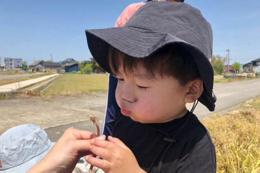 小規模保育園　プチわっか(福井県坂井市)