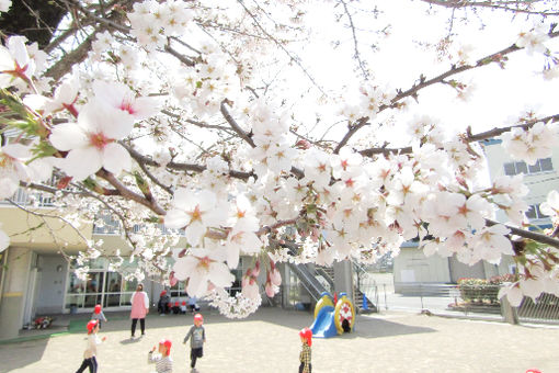 認定こども園 三好町保育園(長野県上田市)