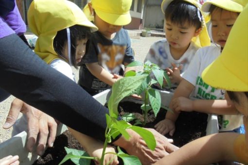 認定こども園　子育てセンターひだまり(静岡県掛川市)