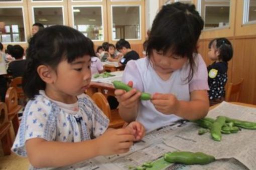 認定こども園　子育てセンターひだまり(静岡県掛川市)