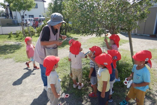 認定こども園　子育てセンターかきのみ(静岡県浜松市)