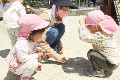 桜井こども園(愛知県安城市)