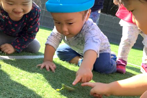 幼保連携型認定こども園 葵音つばさこども園(大阪府富田林市)