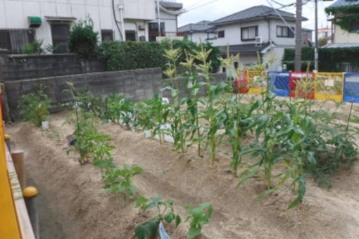 津田保育園(大阪府枚方市)