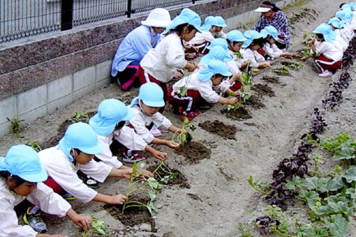 幼保連携型認定こども園すいせん保育園(大阪府和泉市)