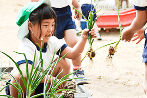 せっつあそびまち遊育園(大阪府摂津市)