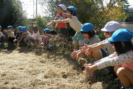 ニコニコ桜今津灯保育園(兵庫県西宮市)