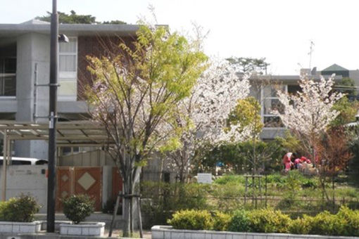 ニコニコ桜保育園(兵庫県西宮市)