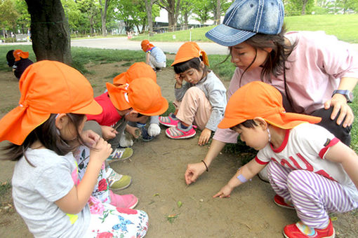 横浜りとるぱんぷきんず(神奈川県横浜市港北区)