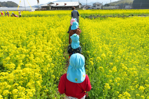 花見あおぞらこども園(福岡県古賀市)