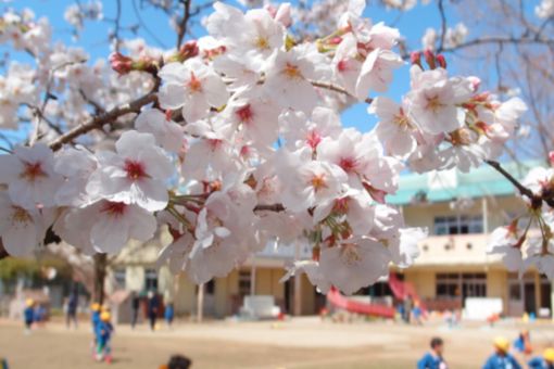 認定こども園八千把こども園(熊本県八代市)