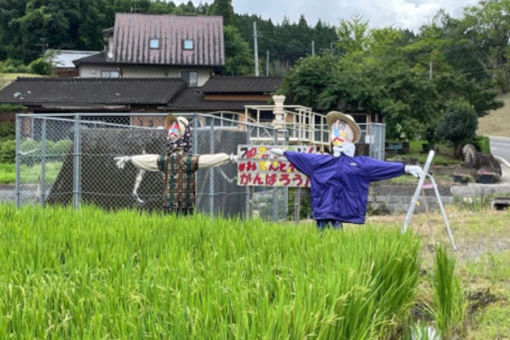 認定こども園うちやまこども園(宮崎県宮崎市)