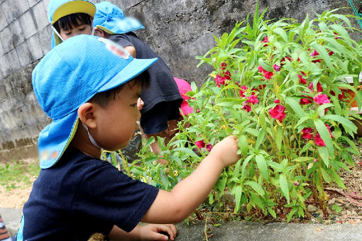 愛善保育園(沖縄県宜野湾市)