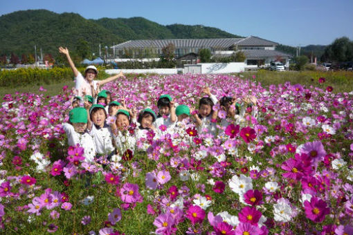 幼保連携型書写認定こども園(兵庫県姫路市)