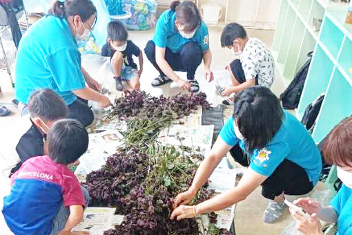 多機能型発達支援事業所　カモミール(熊本県山鹿市)