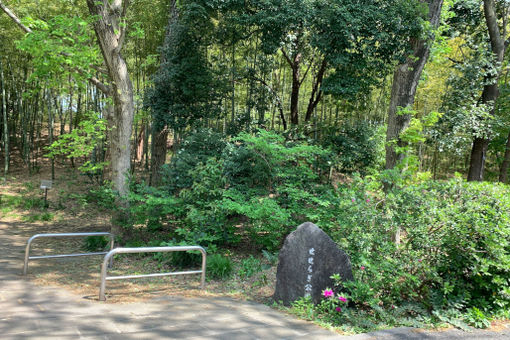 認定こども園エクレス保育園(神奈川県横浜市都筑区)