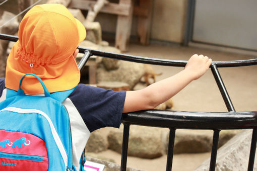 墨田区立亀沢保育園(東京都墨田区)