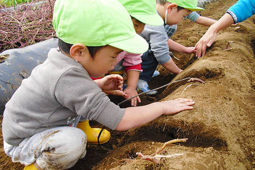 もみの木保育園(東京都町田市)