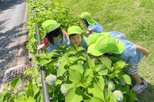 上尾クマさん保育所(埼玉県上尾市)